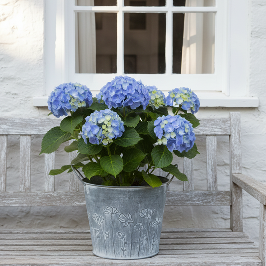 Bloempot pot ijzer, 18 x 15